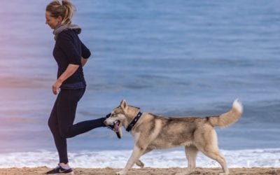 Exercising with Your Pet